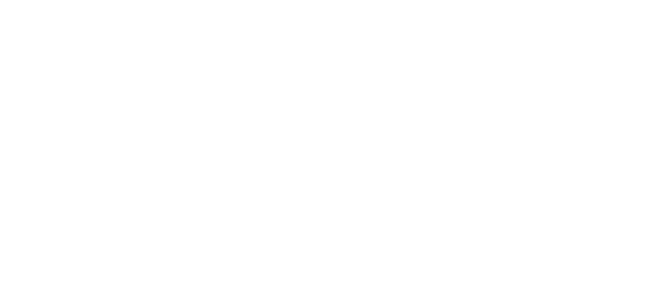 Mini GT